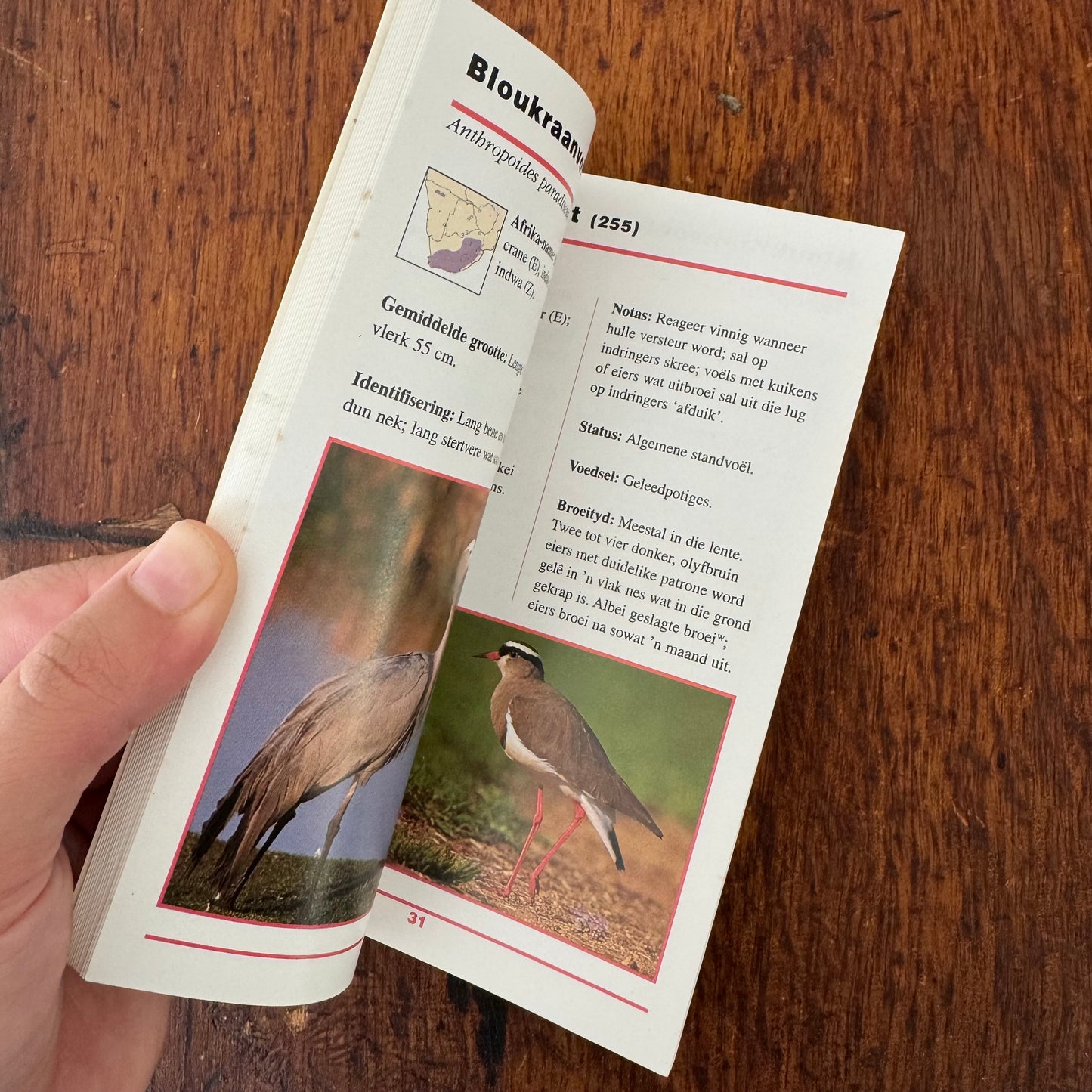 Afrikaans Guide Bundle