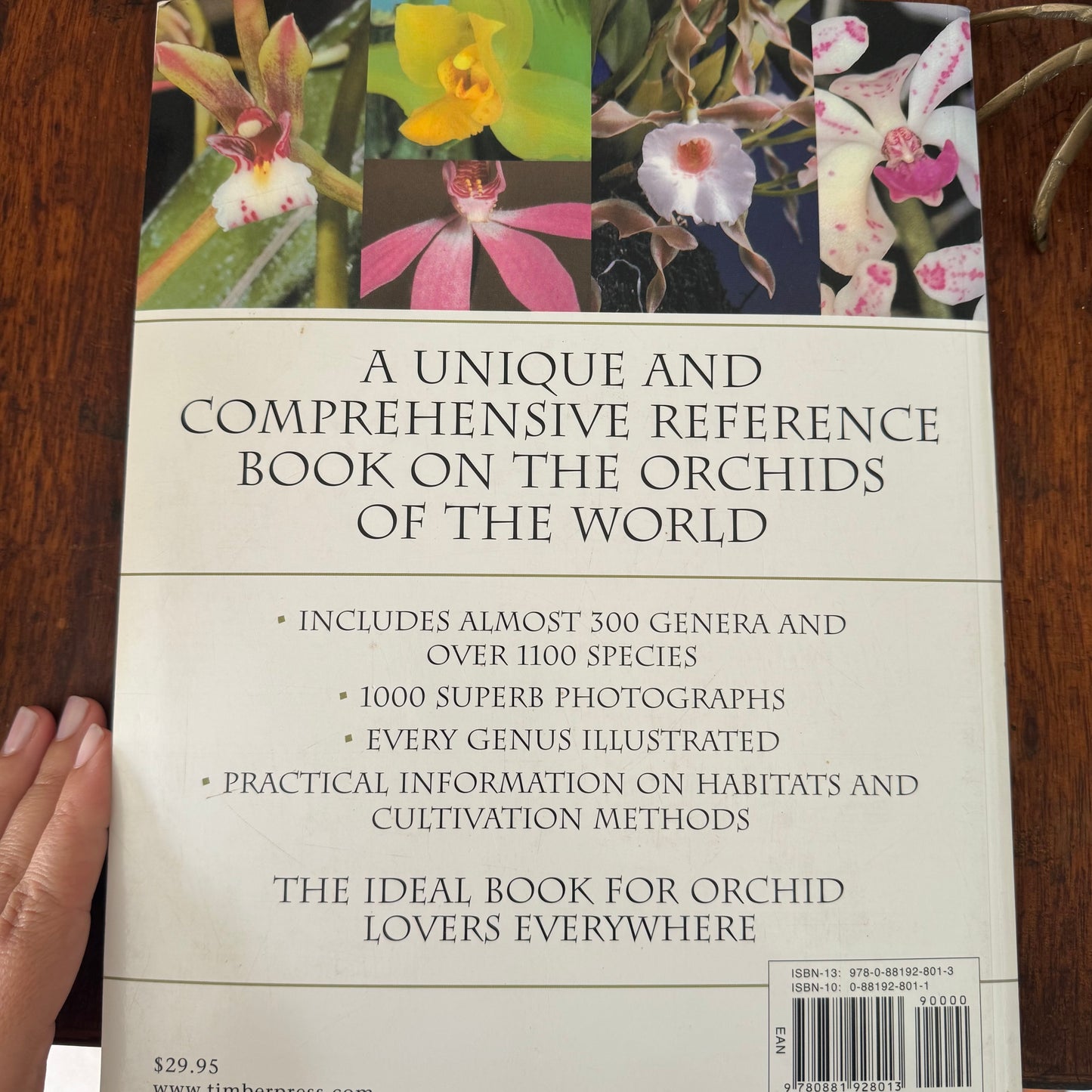 Large Orchids Coffee Table Book