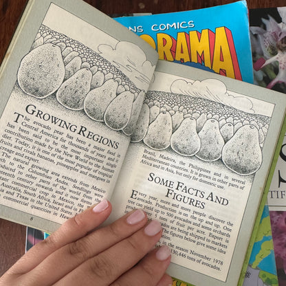 Avocado Book