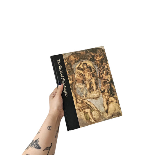 The World of Michelangelo