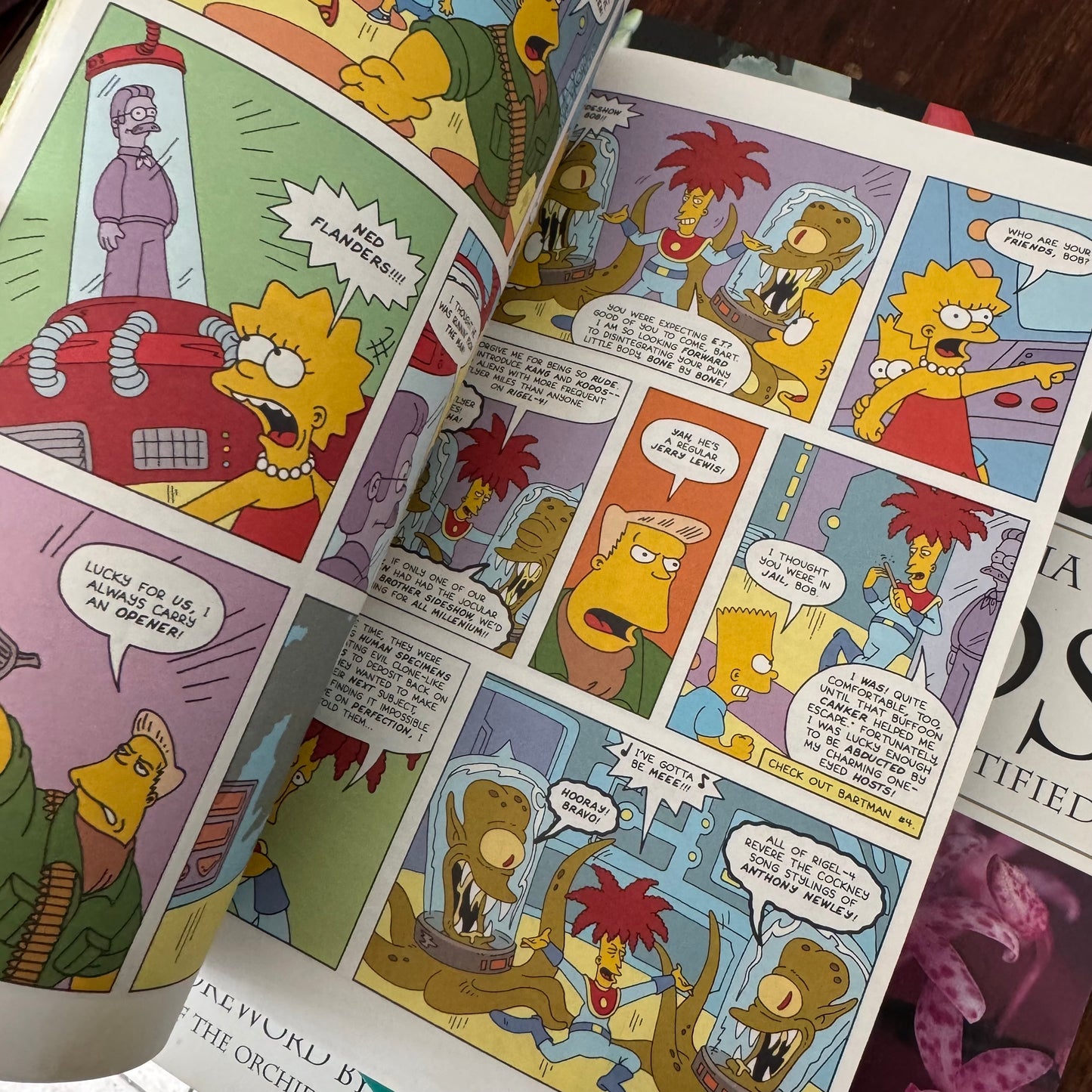 Simpsons Comic