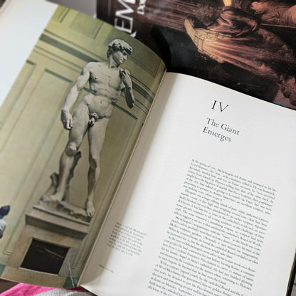 The World of Michelangelo