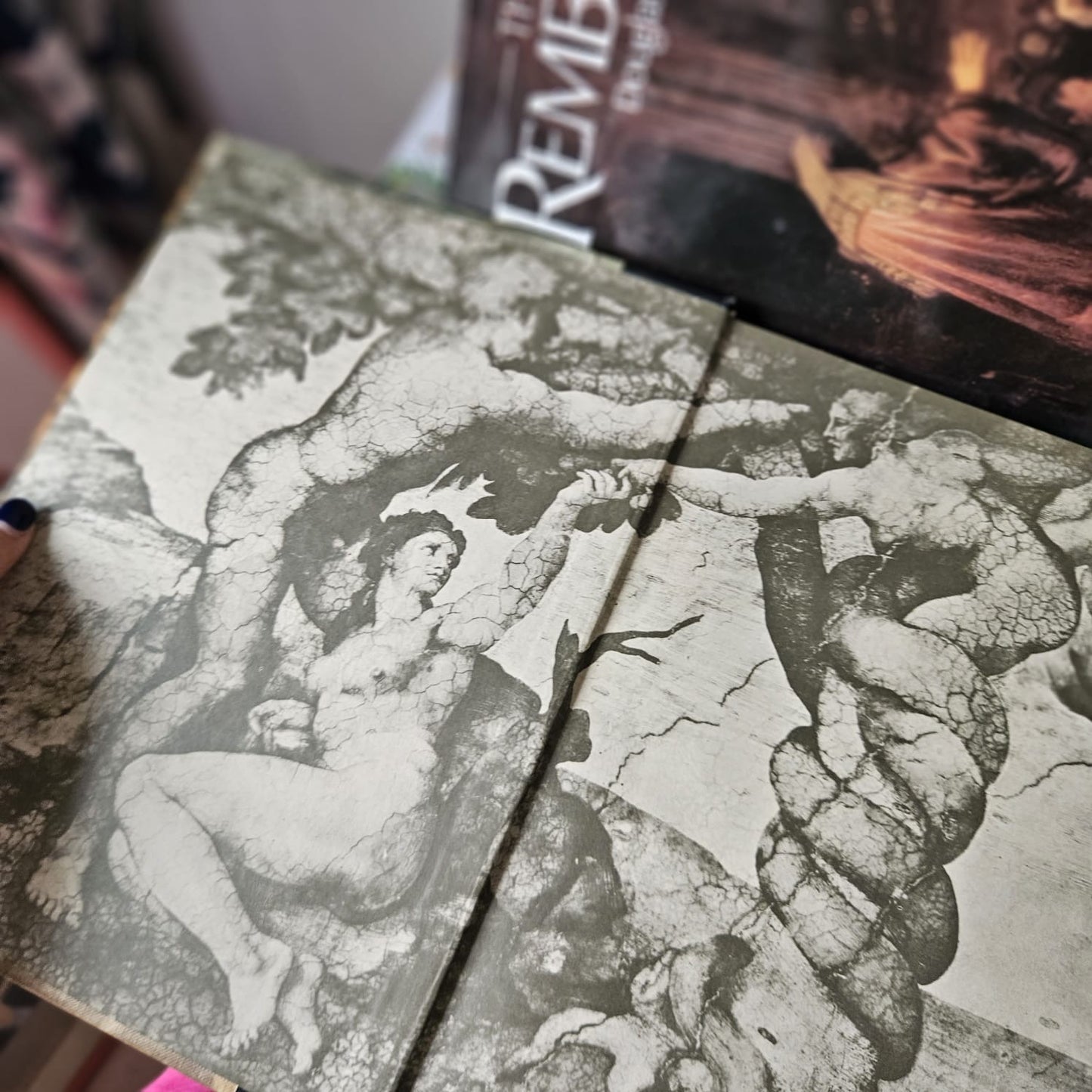 The World of Michelangelo