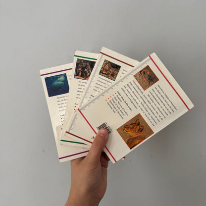 Afrikaans Guide Bundle