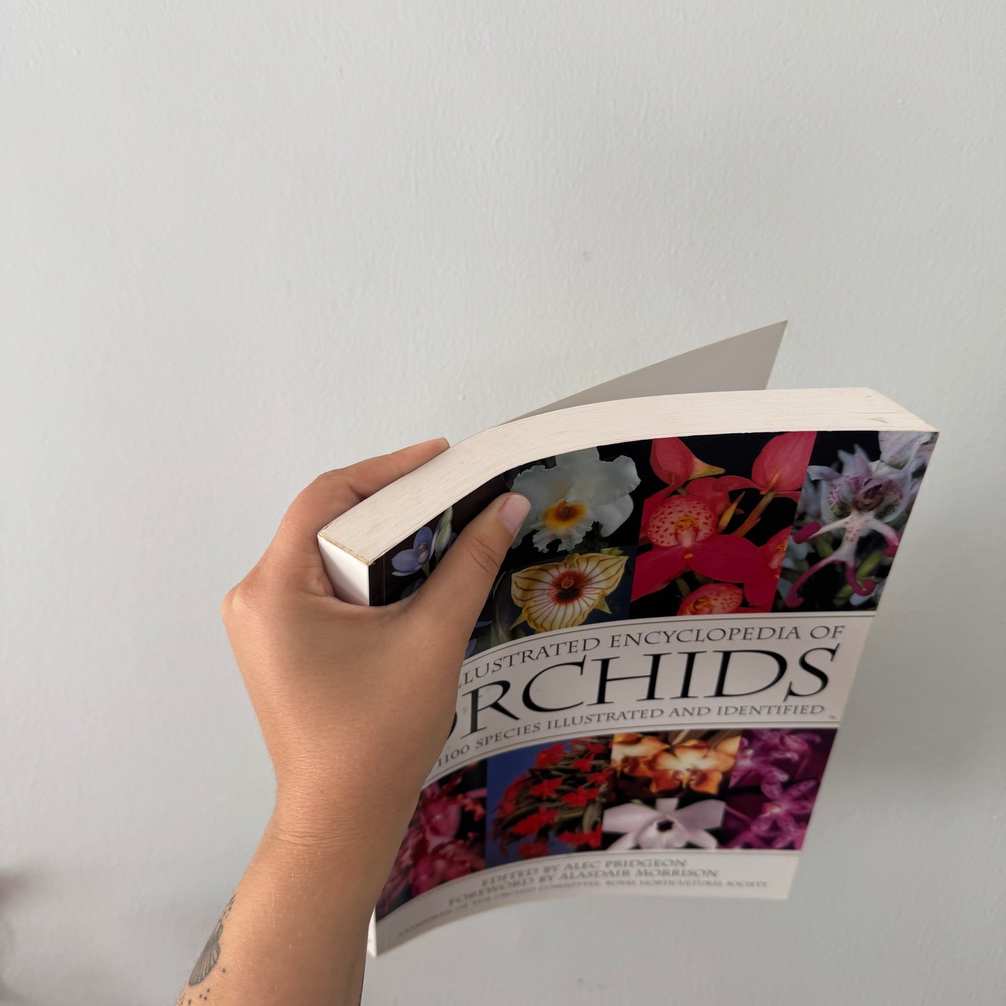 Large Orchids Coffee Table Book