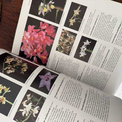 Large Orchids Coffee Table Book