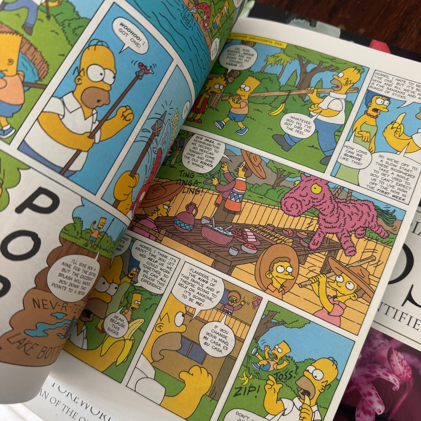 Simpsons Comic