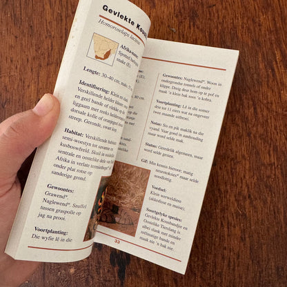 Afrikaans Guide Bundle
