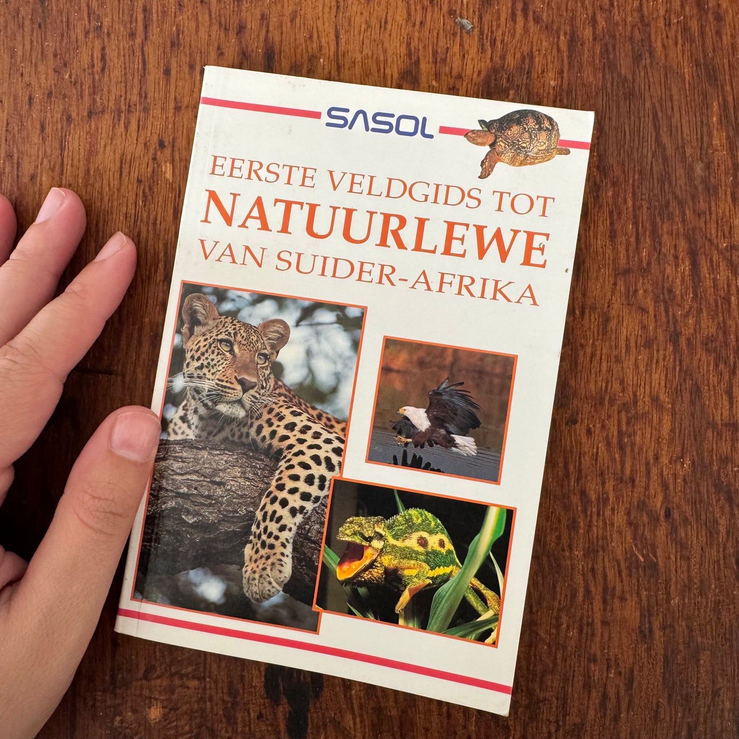 Afrikaans Guide Bundle