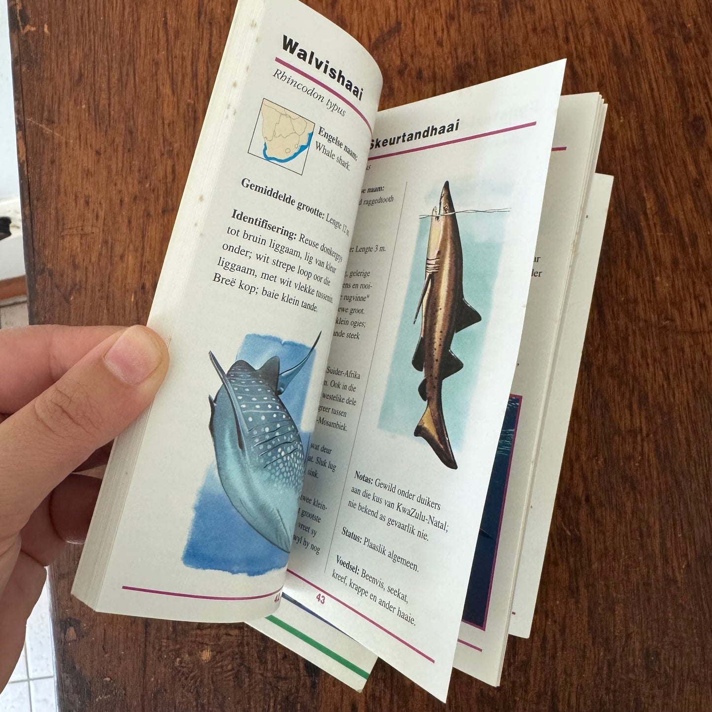 Afrikaans Guide Bundle