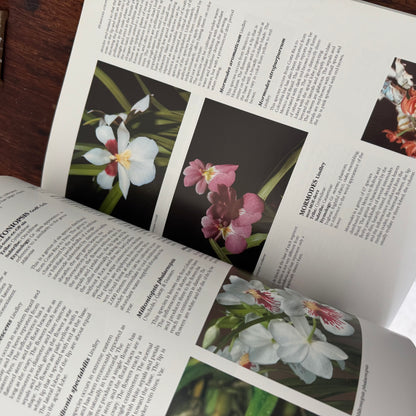 Large Orchids Coffee Table Book