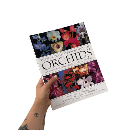 Large Orchids Coffee Table Book