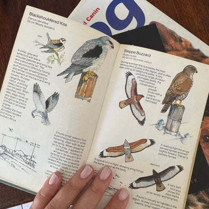 Bird Guide