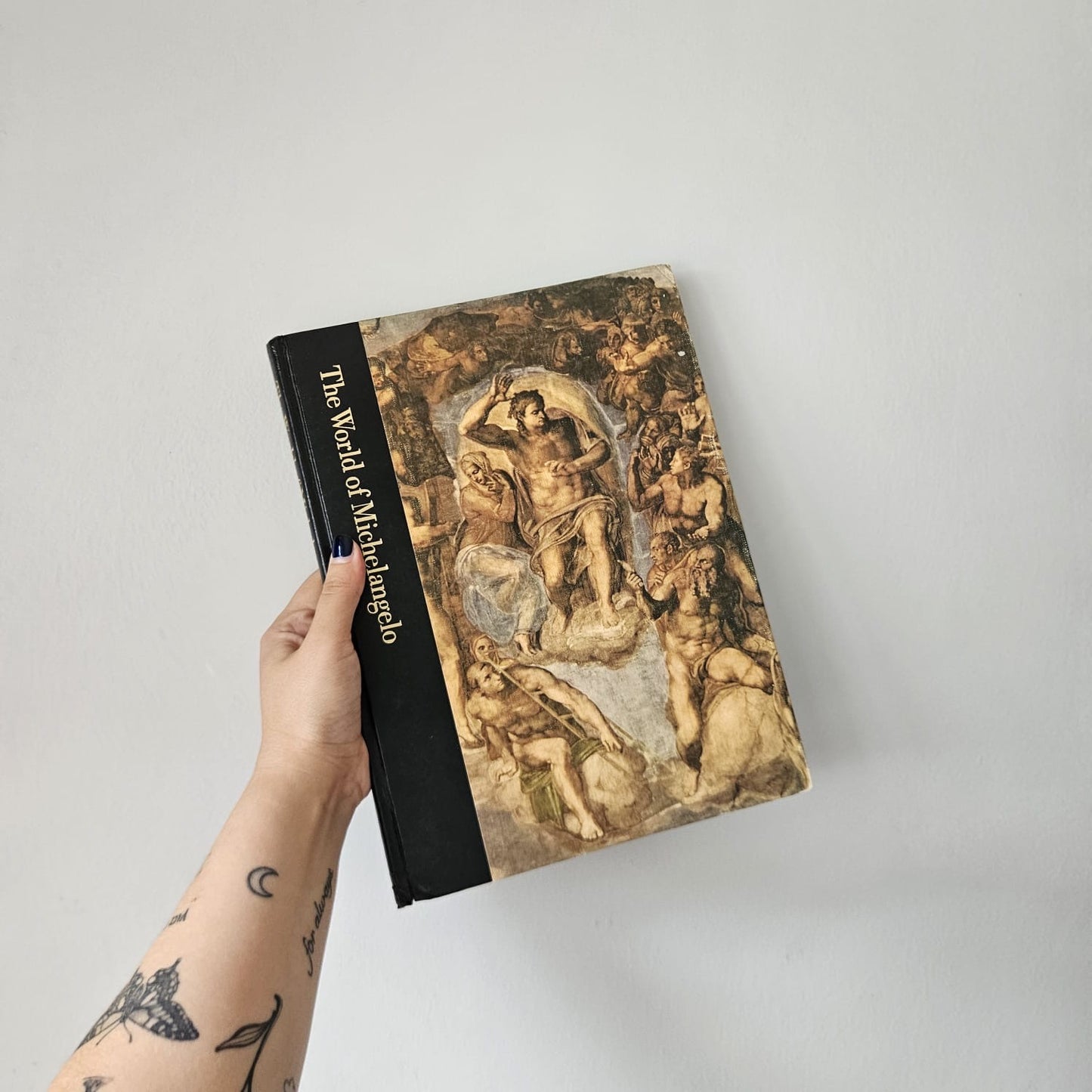 The World of Michelangelo