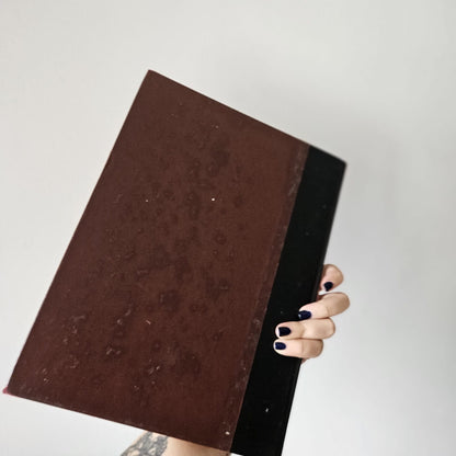 The World of Michelangelo