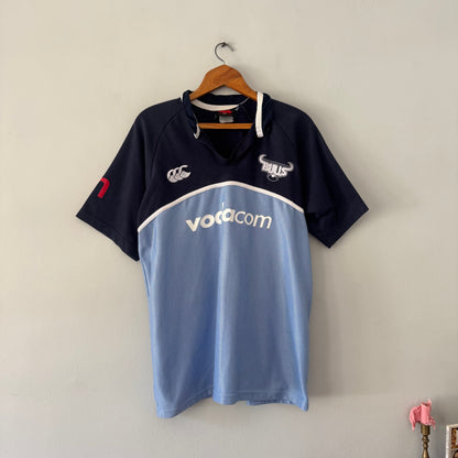 Bulls Jersey (size L)