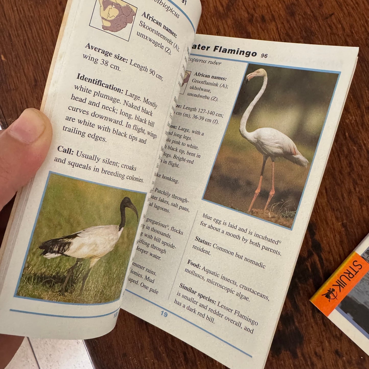 Bird Guide Bundle