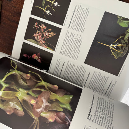 Large Orchids Coffee Table Book