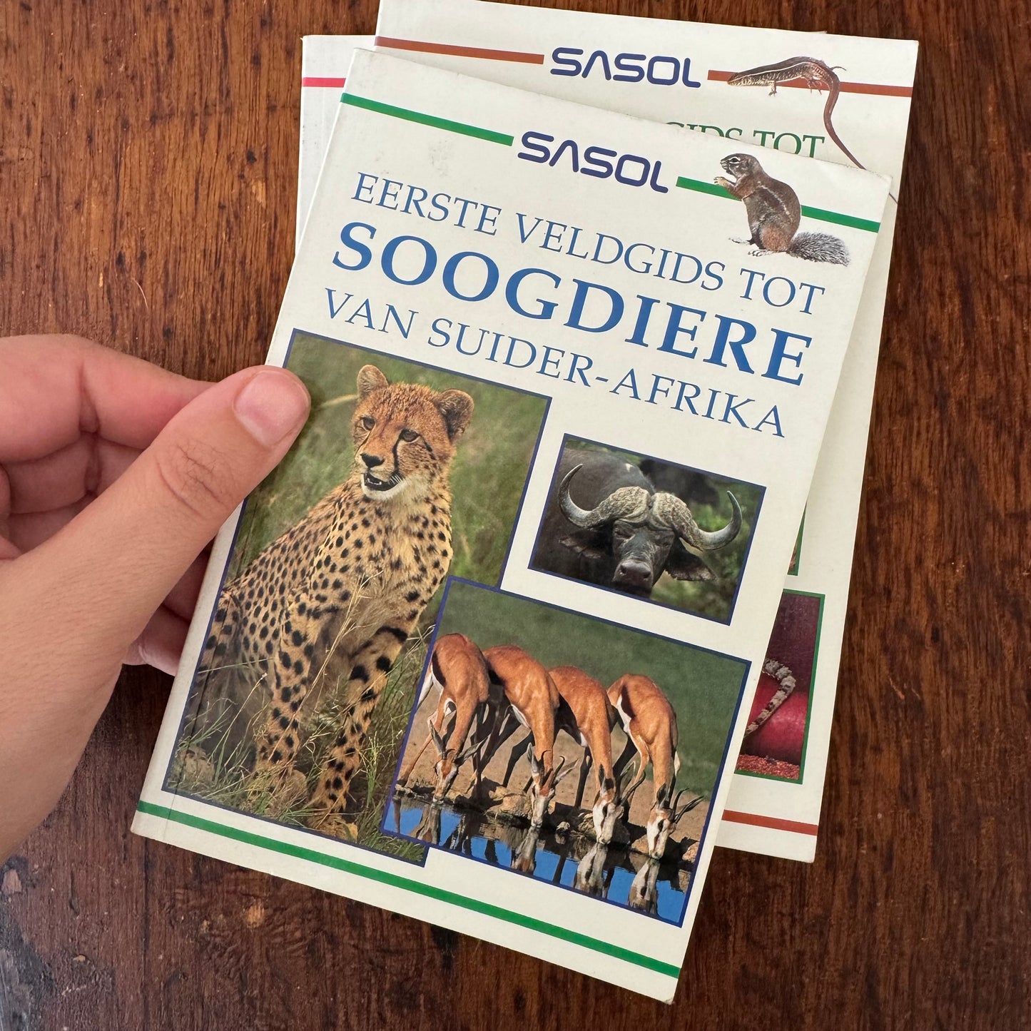 Afrikaans Guide Bundle